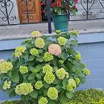 Garden Guest House