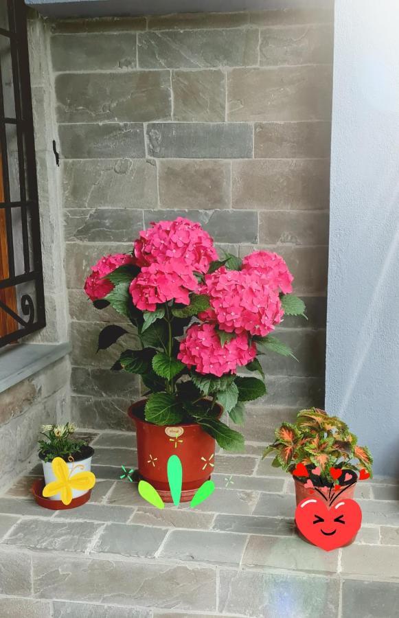 Garden *