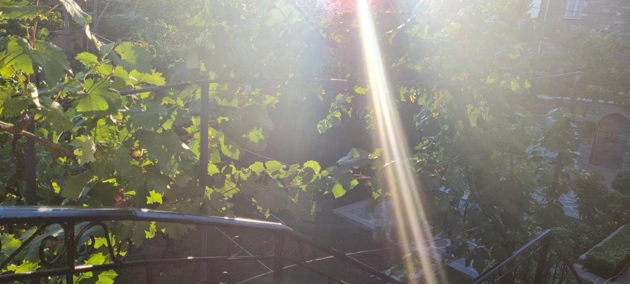 Garden Përmet