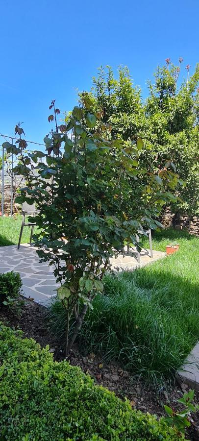 Casa de hóspedes Garden Përmet