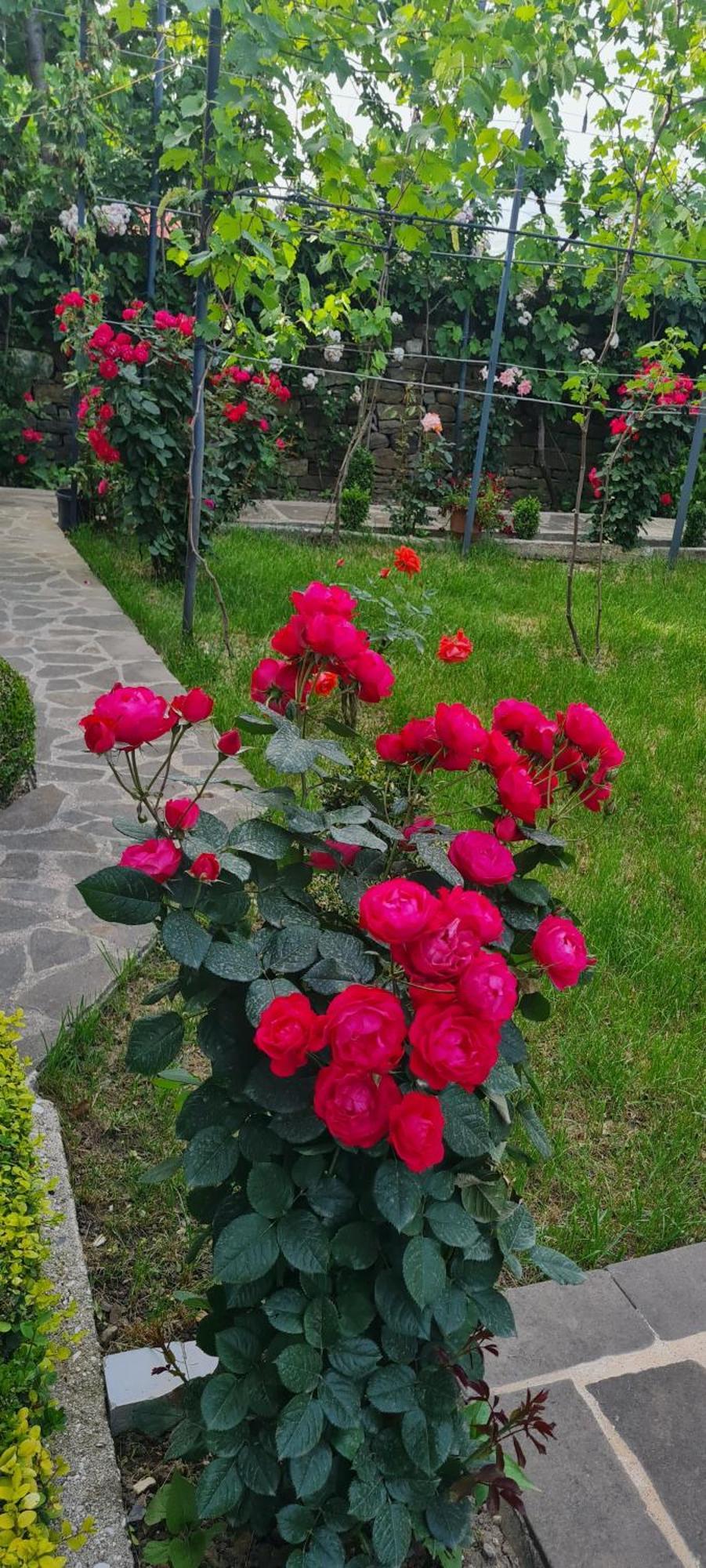 Garden Casa de hóspedes *
